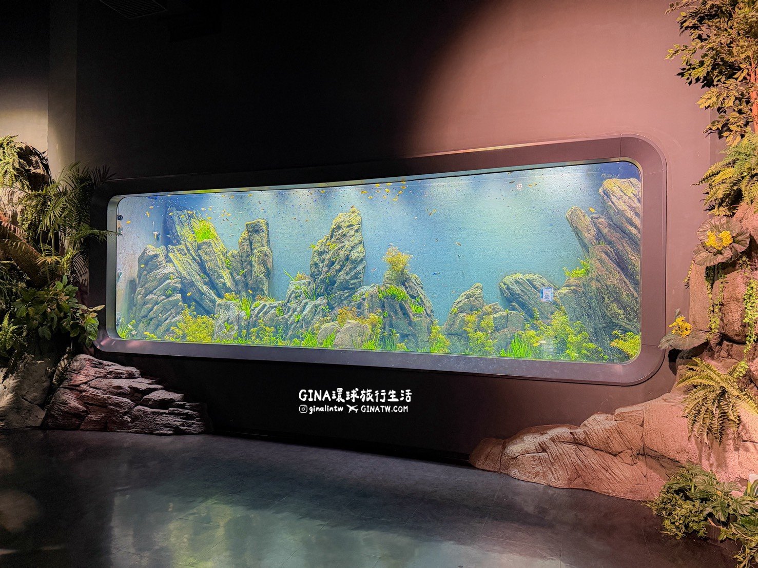【沖繩樂享週遊券2026】沖繩景點DMM Kariyushi水族館攻略、門票優惠、交通方式 @GINA環球旅行生活 【沖繩樂享週遊券2026】沖繩景點DMM Kariyushi水族館攻略、門票優惠、交通方式 @GINA環球旅行生活