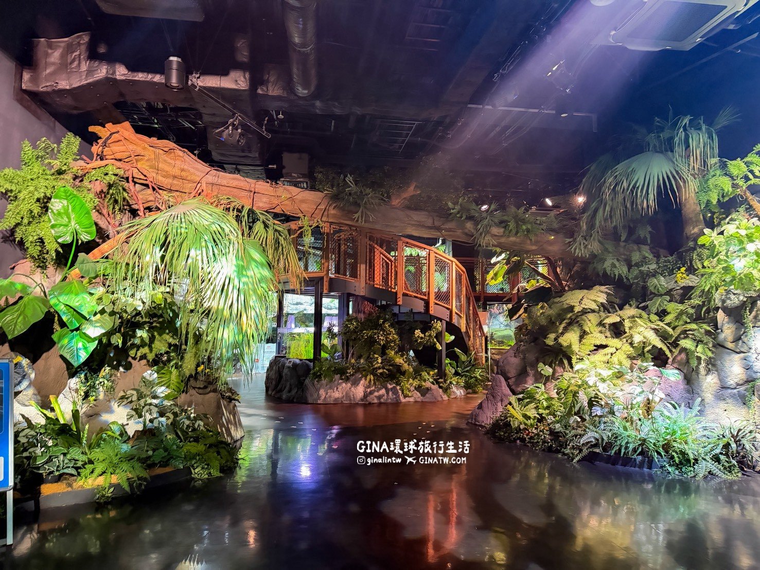 【沖繩樂享週遊券2026】沖繩景點DMM Kariyushi水族館攻略、門票優惠、交通方式 @GINA環球旅行生活