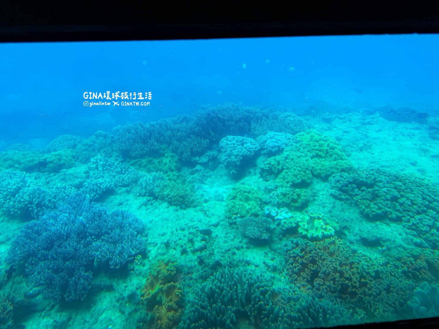 【沖繩景點2026】沖繩大型水底觀光船Orca船票票價優惠 @GINA環球旅行生活 【沖繩景點2026】沖繩大型水底觀光船Orca船票票價優惠 @GINA環球旅行生活
