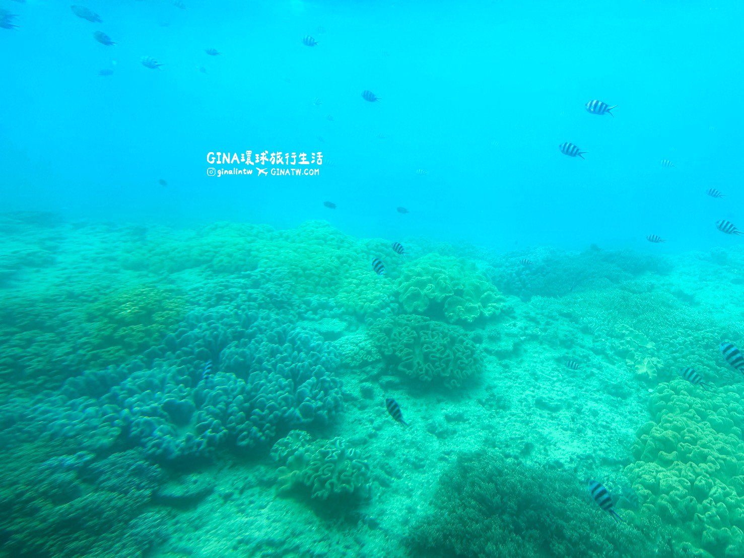 【沖繩景點2026】沖繩大型水底觀光船Orca船票票價優惠 @GINA環球旅行生活