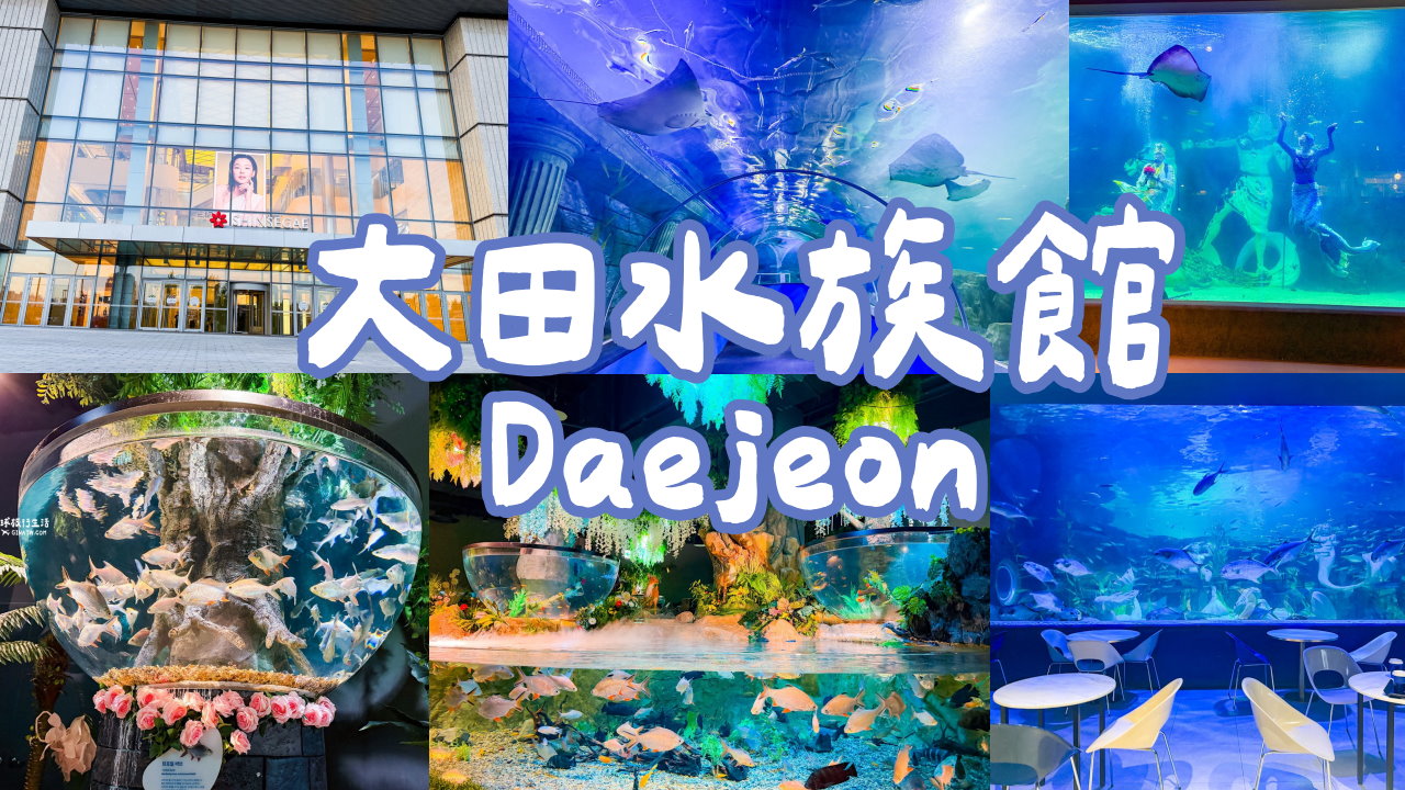 【韓國大田景點2026】大田水族館票價及美人魚表演時刻表、大田購物必去新世界百貨 @GINA環球旅行生活