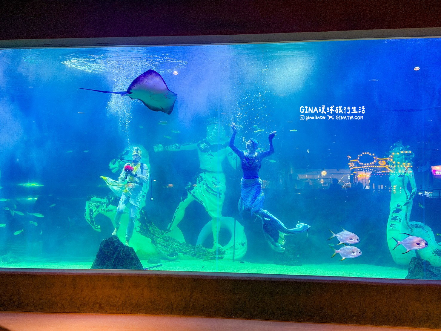 【韓國大田景點2026】大田水族館票價及美人魚表演時刻表、大田購物必去新世界百貨 @GINA環球旅行生活