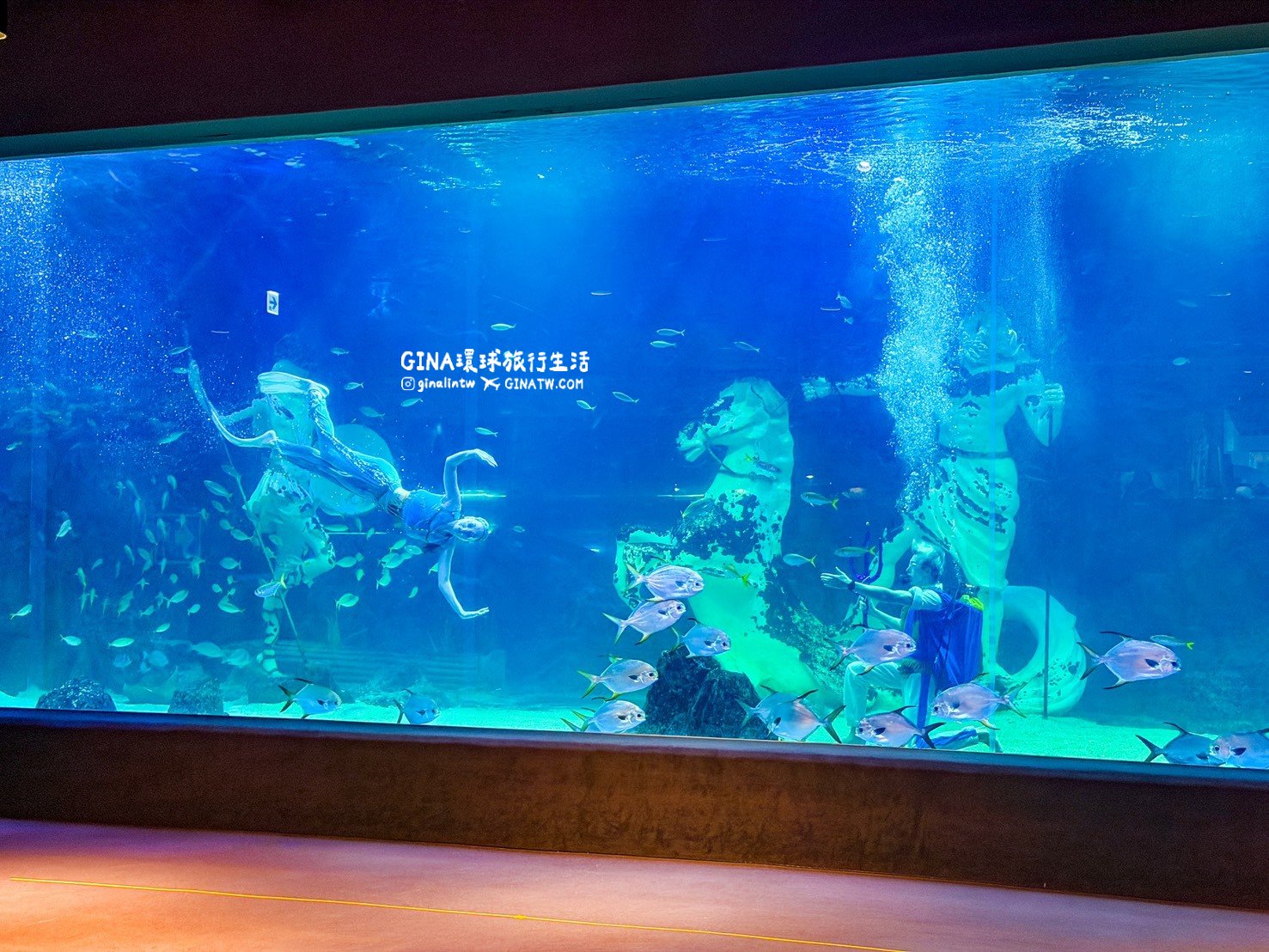 【韓國大田景點2026】大田水族館票價及美人魚表演時刻表、大田購物必去新世界百貨 @GINA環球旅行生活