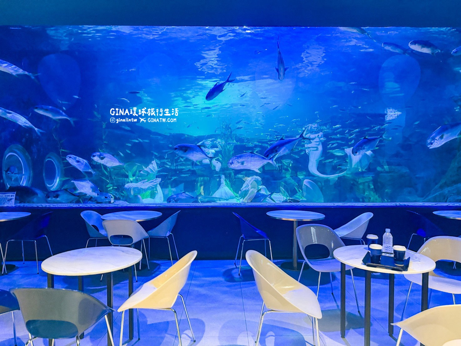 【韓國大田景點2026】大田水族館票價及美人魚表演時刻表、大田購物必去新世界百貨 @GINA環球旅行生活