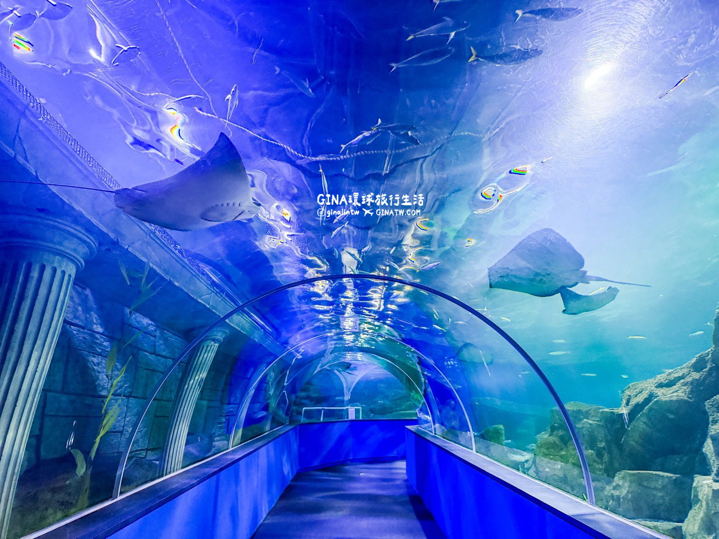 【韓國大田景點2026】大田水族館票價及美人魚表演時刻表、大田購物必去新世界百貨 @GINA環球旅行生活