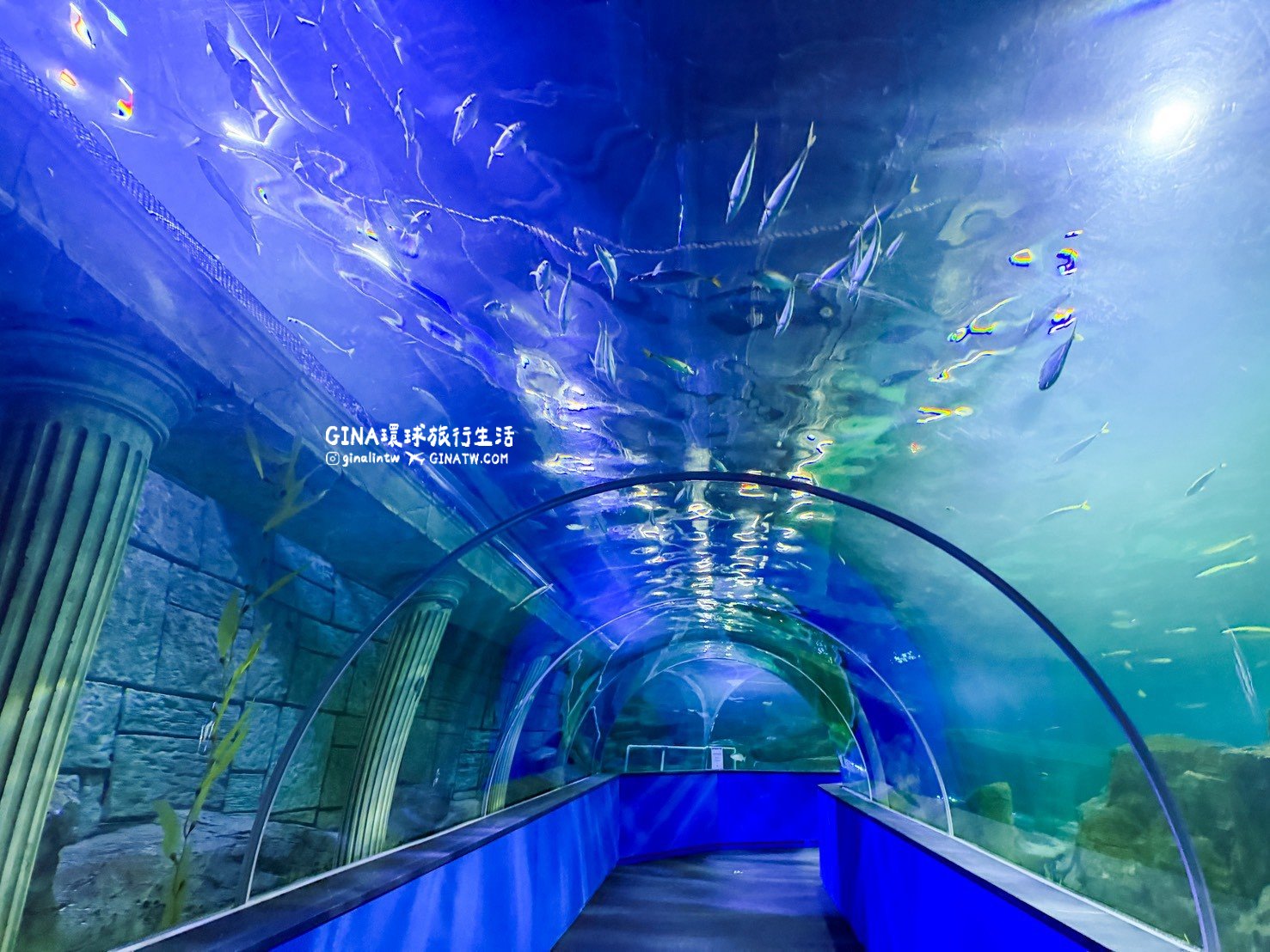 【韓國大田景點2026】大田水族館票價及美人魚表演時刻表、大田購物必去新世界百貨 @GINA環球旅行生活