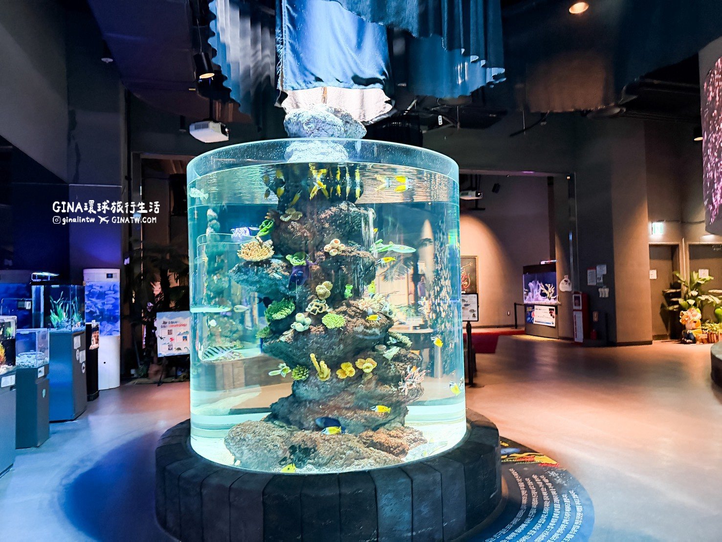 【韓國大田景點2026】大田水族館票價及美人魚表演時刻表、大田購物必去新世界百貨 @GINA環球旅行生活