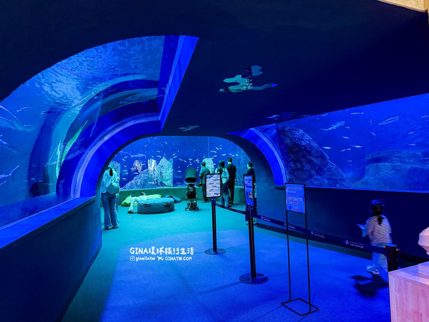 【韓國大田景點2026】大田水族館票價及美人魚表演時刻表、大田購物必去新世界百貨 @GINA環球旅行生活