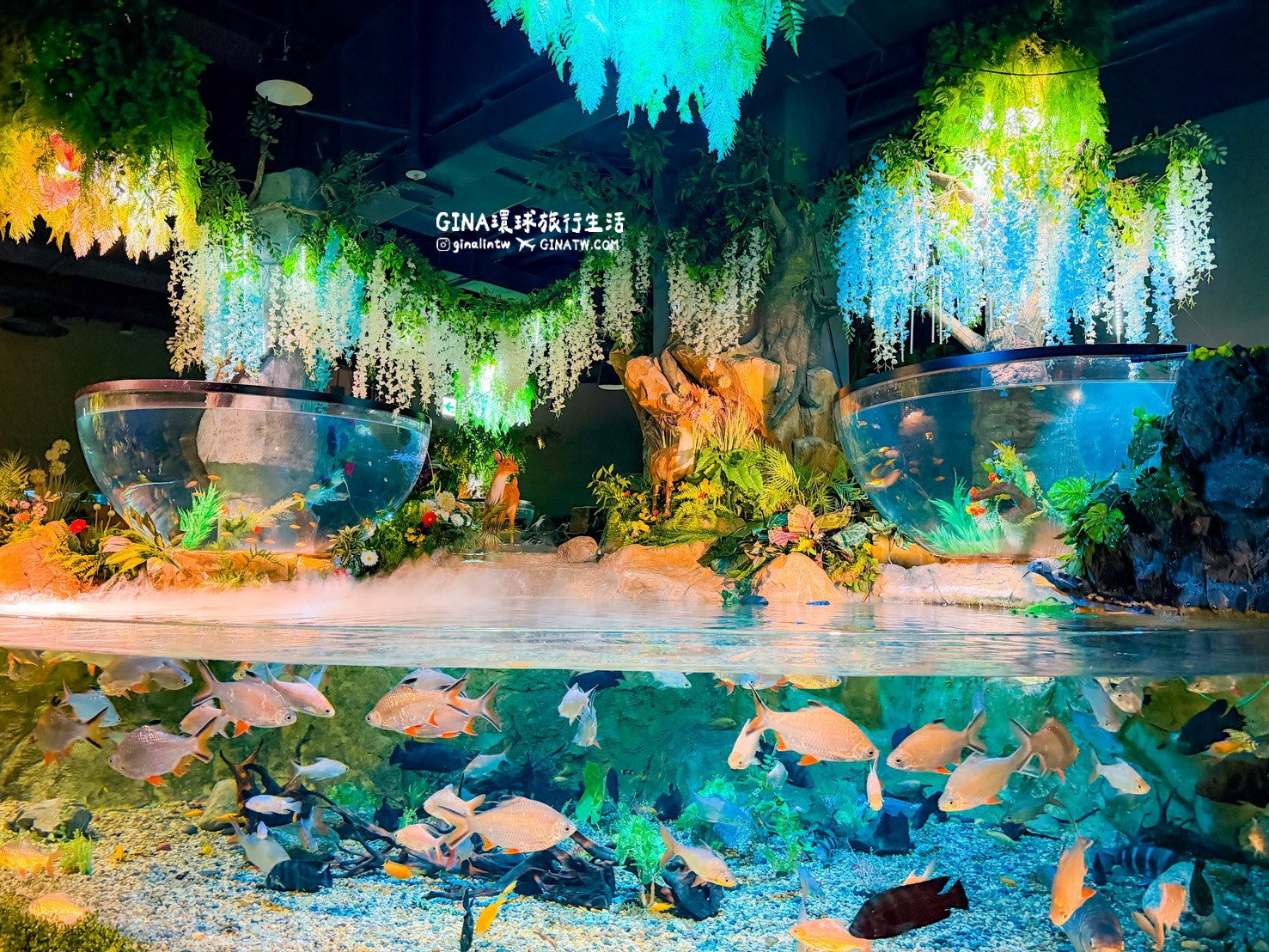 【韓國大田景點2026】大田水族館票價及美人魚表演時刻表、大田購物必去新世界百貨 @GINA環球旅行生活
