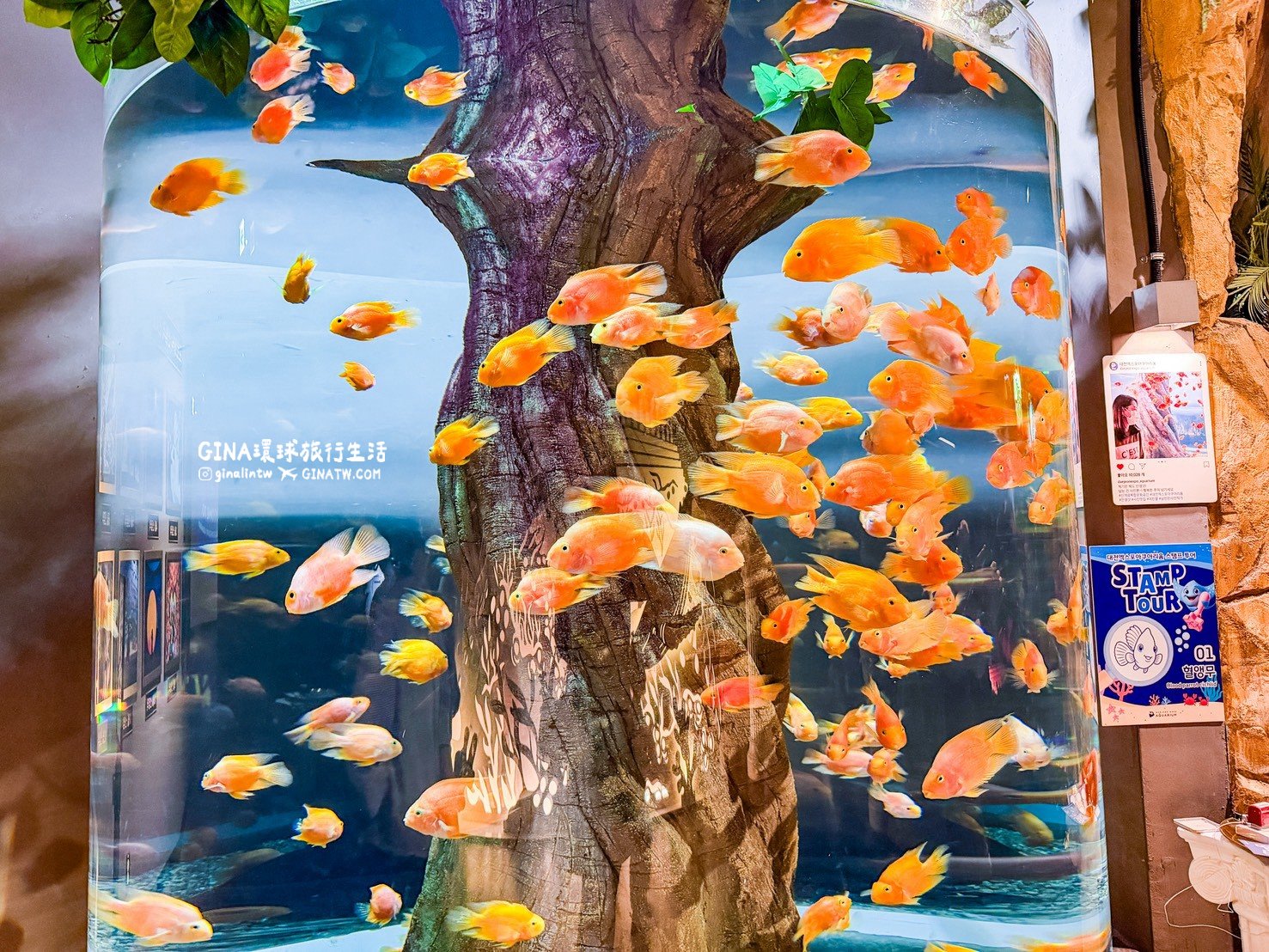 【韓國大田景點2026】大田水族館票價及美人魚表演時刻表、大田購物必去新世界百貨 @GINA環球旅行生活