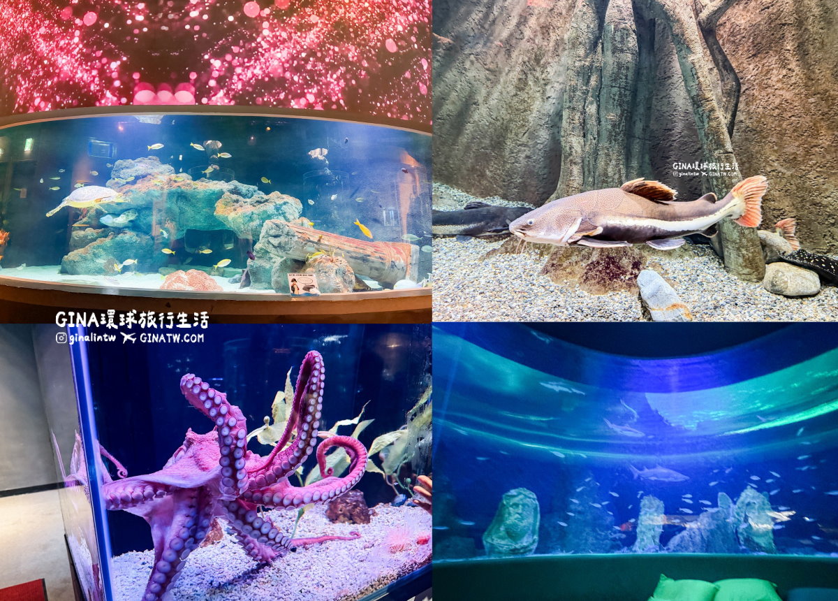 【韓國大田景點2026】大田水族館票價及美人魚表演時刻表、大田購物必去新世界百貨 @GINA環球旅行生活