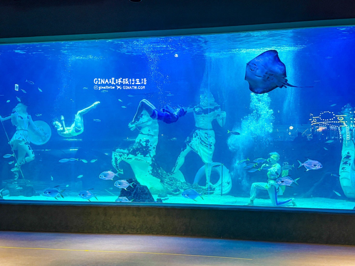 【韓國大田景點2026】大田水族館票價及美人魚表演時刻表、大田購物必去新世界百貨 @GINA環球旅行生活