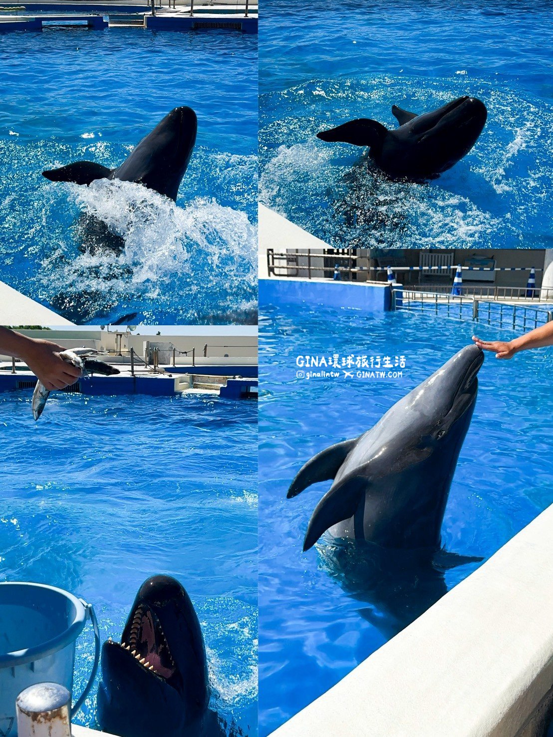 【沖繩Fun Pass攻略2026】沖繩必去美麗海水族館套票優惠、沖繩旅遊必買 Fun Pass觀光巴士接送一日遊 @GINA環球旅行生活 【沖繩Fun Pass攻略2026】沖繩必去美麗海水族館套票優惠、沖繩旅遊必買 Fun Pass觀光巴士接送一日遊 @GINA環球旅行生活