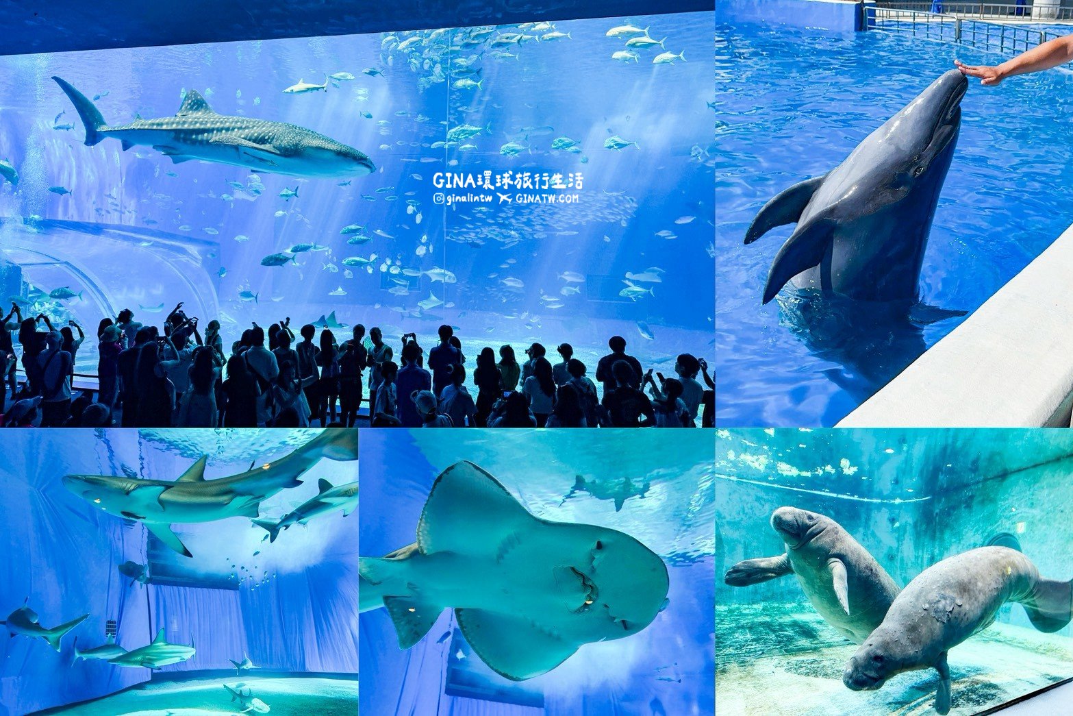 【沖繩Fun Pass攻略2026】沖繩必去美麗海水族館套票優惠、沖繩旅遊必買 Fun Pass觀光巴士接送一日遊 @GINA環球旅行生活 【沖繩Fun Pass攻略2026】沖繩必去美麗海水族館套票優惠、沖繩旅遊必買 Fun Pass觀光巴士接送一日遊 @GINA環球旅行生活