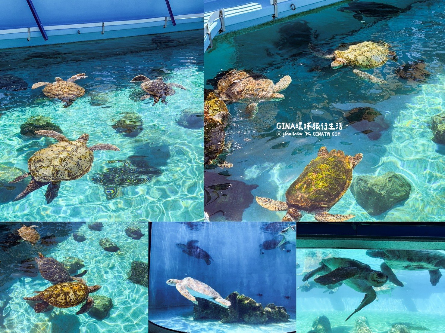 【沖繩Fun Pass攻略2026】沖繩必去美麗海水族館套票優惠、沖繩旅遊必買 Fun Pass觀光巴士接送一日遊 @GINA環球旅行生活 【沖繩Fun Pass攻略2026】沖繩必去美麗海水族館套票優惠、沖繩旅遊必買 Fun Pass觀光巴士接送一日遊 @GINA環球旅行生活