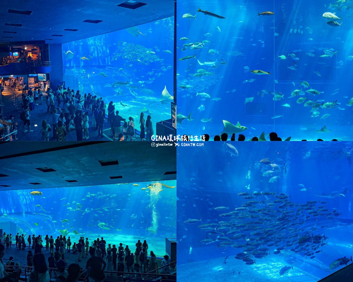 【沖繩Fun Pass攻略2026】沖繩必去美麗海水族館套票優惠、沖繩旅遊必買 Fun Pass觀光巴士接送一日遊 @GINA環球旅行生活 【沖繩Fun Pass攻略2026】沖繩必去美麗海水族館套票優惠、沖繩旅遊必買 Fun Pass觀光巴士接送一日遊 @GINA環球旅行生活