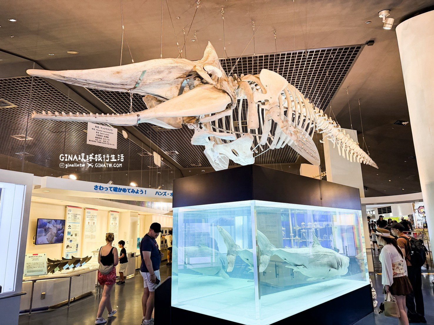【沖繩Fun Pass攻略2026】沖繩必去美麗海水族館套票優惠、沖繩旅遊必買 Fun Pass觀光巴士接送一日遊 @GINA環球旅行生活 【沖繩Fun Pass攻略2026】沖繩必去美麗海水族館套票優惠、沖繩旅遊必買 Fun Pass觀光巴士接送一日遊 @GINA環球旅行生活
