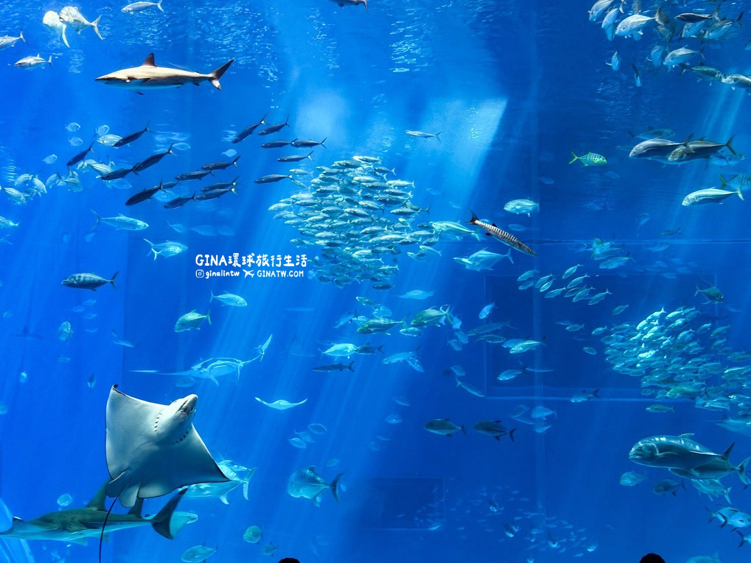 【沖繩Fun Pass攻略2026】沖繩必去美麗海水族館套票優惠、沖繩旅遊必買 Fun Pass觀光巴士接送一日遊 @GINA環球旅行生活