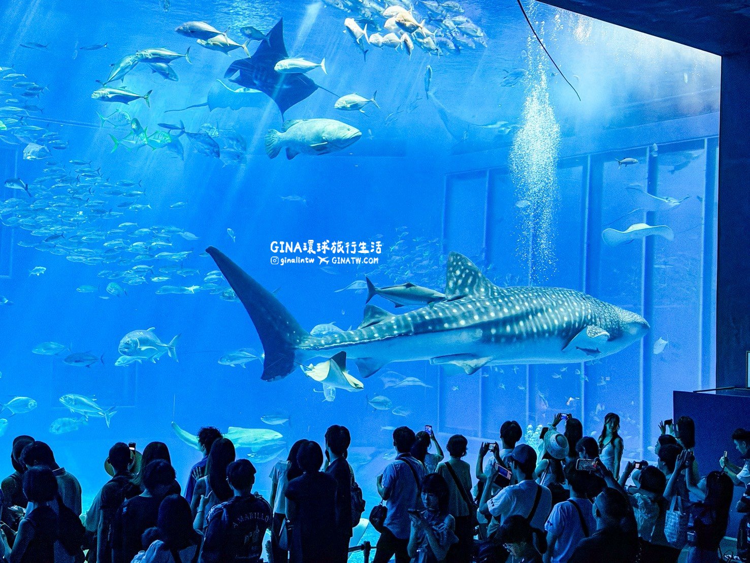【沖繩Fun Pass攻略2026】沖繩必去美麗海水族館套票優惠、沖繩旅遊必買 Fun Pass觀光巴士接送一日遊 @GINA環球旅行生活 【沖繩Fun Pass攻略2026】沖繩必去美麗海水族館套票優惠、沖繩旅遊必買 Fun Pass觀光巴士接送一日遊 @GINA環球旅行生活