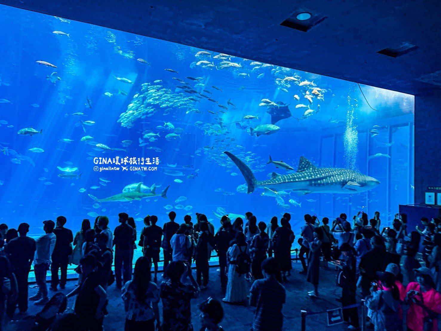 【沖繩Fun Pass攻略2026】沖繩必去美麗海水族館套票優惠、沖繩旅遊必買 Fun Pass觀光巴士接送一日遊 @GINA環球旅行生活