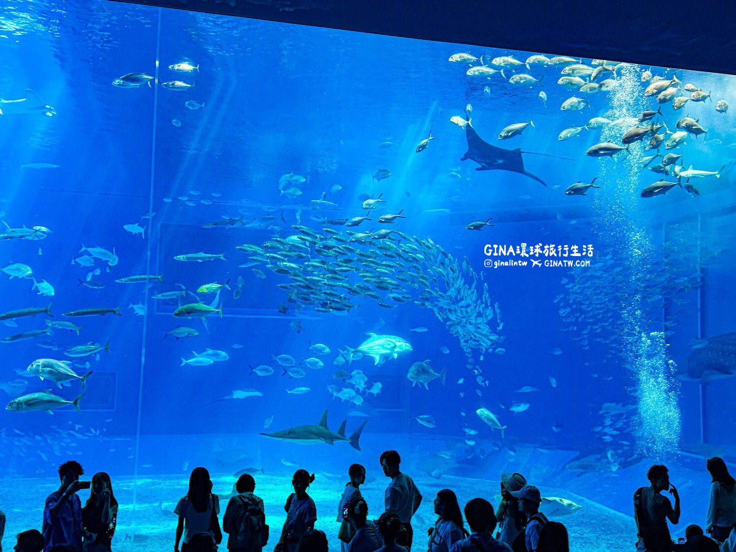 【沖繩Fun Pass攻略2026】沖繩必去美麗海水族館套票優惠、沖繩旅遊必買 Fun Pass觀光巴士接送一日遊 @GINA環球旅行生活