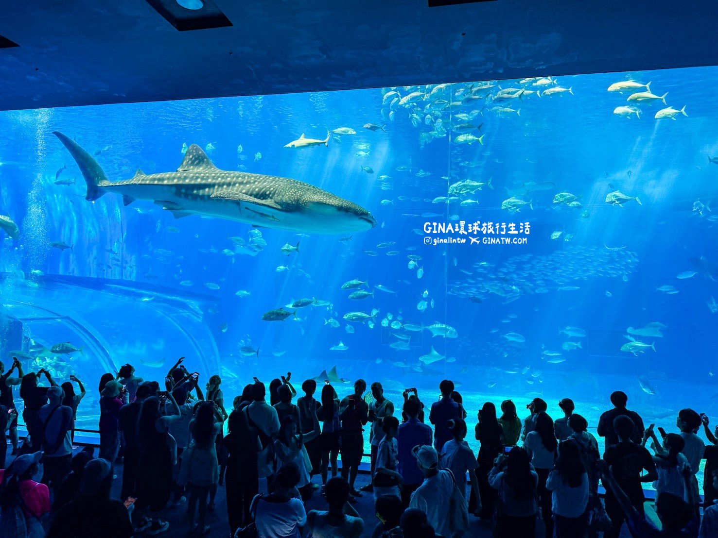 【沖繩Fun Pass攻略2026】沖繩必去美麗海水族館套票優惠、沖繩旅遊必買 Fun Pass觀光巴士接送一日遊 @GINA環球旅行生活 【沖繩Fun Pass攻略2026】沖繩必去美麗海水族館套票優惠、沖繩旅遊必買 Fun Pass觀光巴士接送一日遊 @GINA環球旅行生活