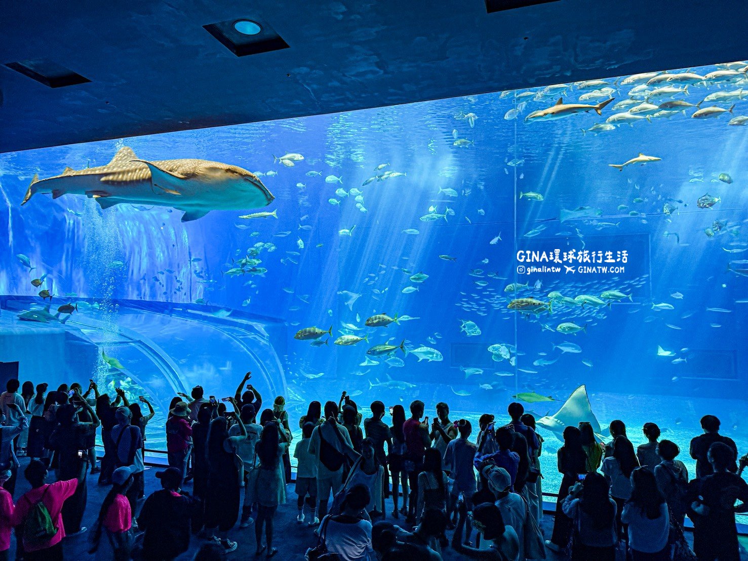 【沖繩Fun Pass攻略2026】沖繩必去美麗海水族館套票優惠、沖繩旅遊必買 Fun Pass觀光巴士接送一日遊 @GINA環球旅行生活 【沖繩Fun Pass攻略2026】沖繩必去美麗海水族館套票優惠、沖繩旅遊必買 Fun Pass觀光巴士接送一日遊 @GINA環球旅行生活