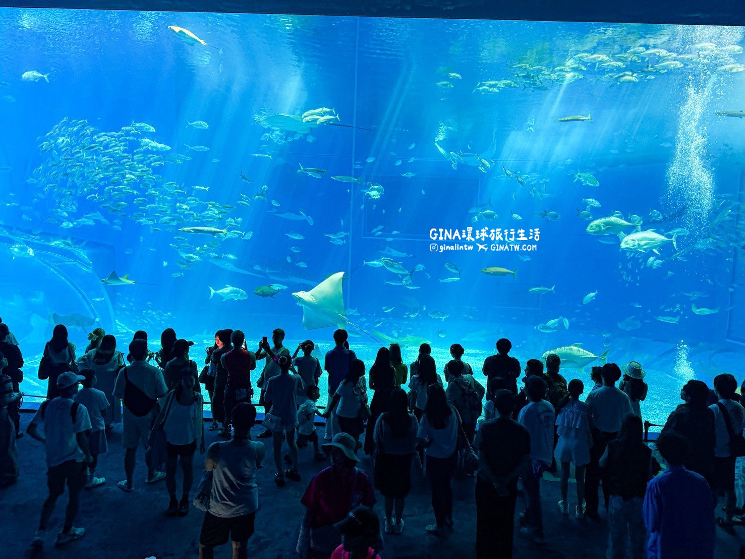 【沖繩Fun Pass攻略2026】沖繩必去美麗海水族館套票優惠、沖繩旅遊必買 Fun Pass觀光巴士接送一日遊 @GINA環球旅行生活 【沖繩Fun Pass攻略2026】沖繩必去美麗海水族館套票優惠、沖繩旅遊必買 Fun Pass觀光巴士接送一日遊 @GINA環球旅行生活