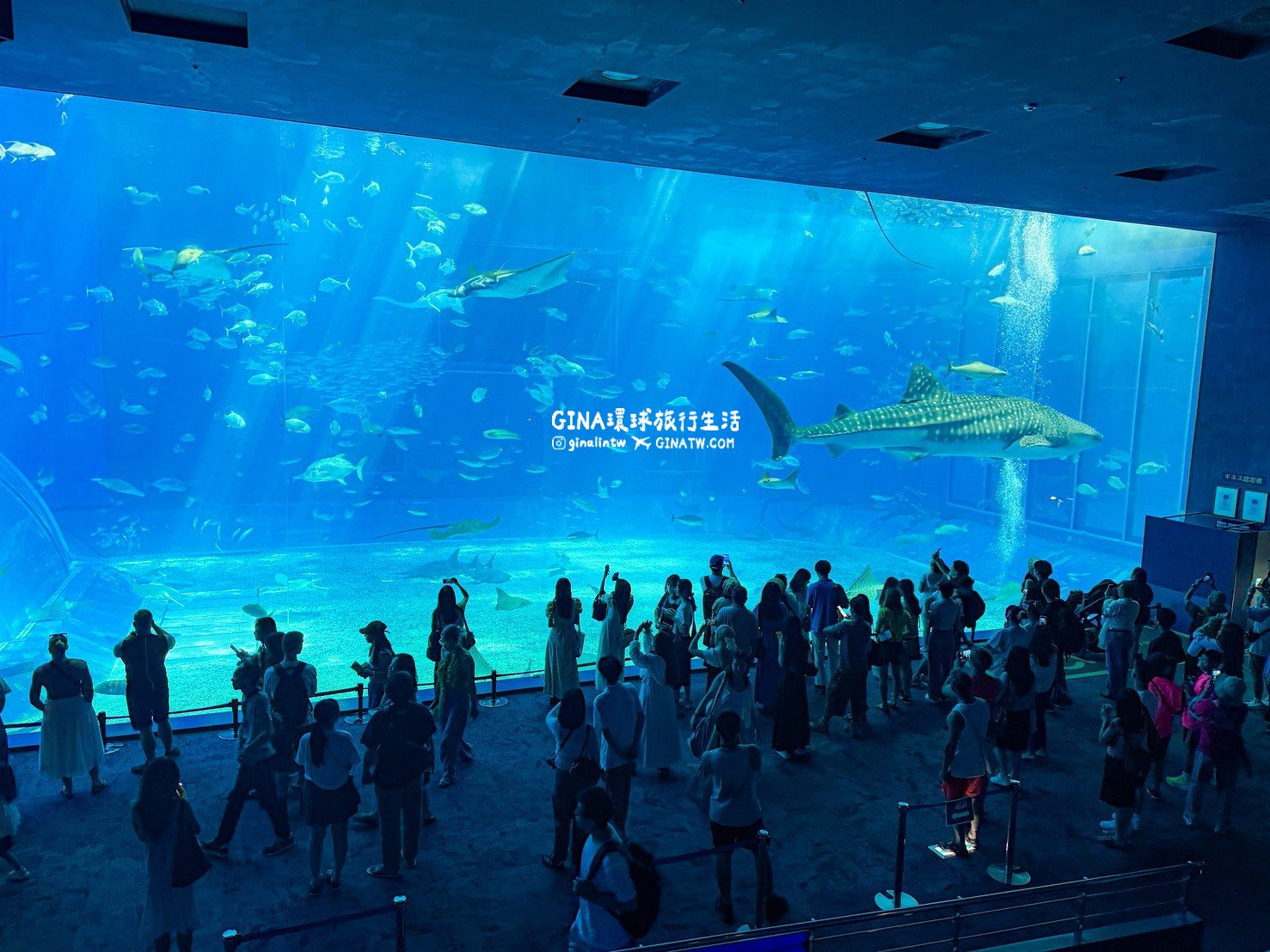 【沖繩Fun Pass攻略2026】沖繩必去美麗海水族館套票優惠、沖繩旅遊必買 Fun Pass觀光巴士接送一日遊 @GINA環球旅行生活