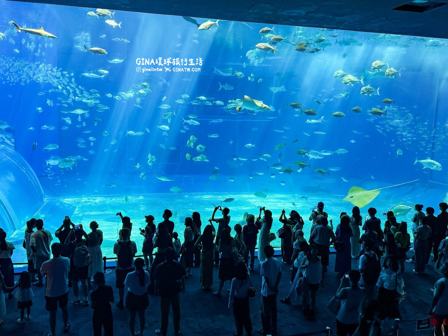 【沖繩Fun Pass攻略2026】沖繩必去美麗海水族館套票優惠、沖繩旅遊必買 Fun Pass觀光巴士接送一日遊 @GINA環球旅行生活