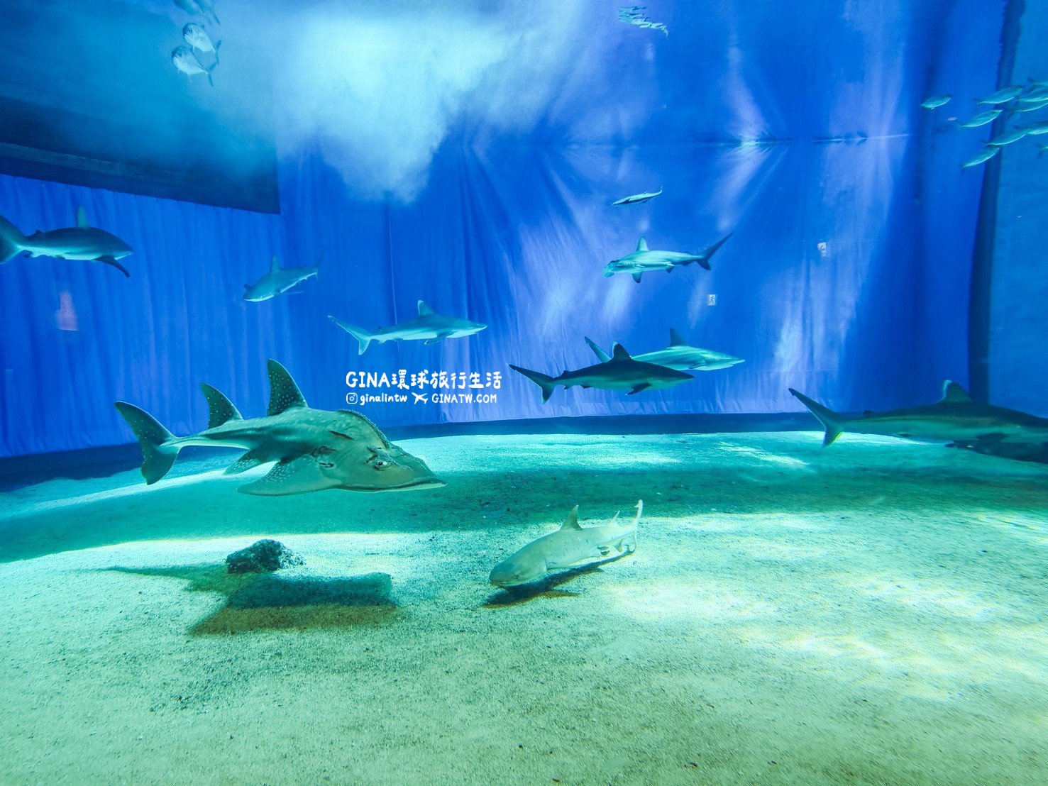 【沖繩Fun Pass攻略2026】沖繩必去美麗海水族館套票優惠、沖繩旅遊必買 Fun Pass觀光巴士接送一日遊 @GINA環球旅行生活 【沖繩Fun Pass攻略2026】沖繩必去美麗海水族館套票優惠、沖繩旅遊必買 Fun Pass觀光巴士接送一日遊 @GINA環球旅行生活