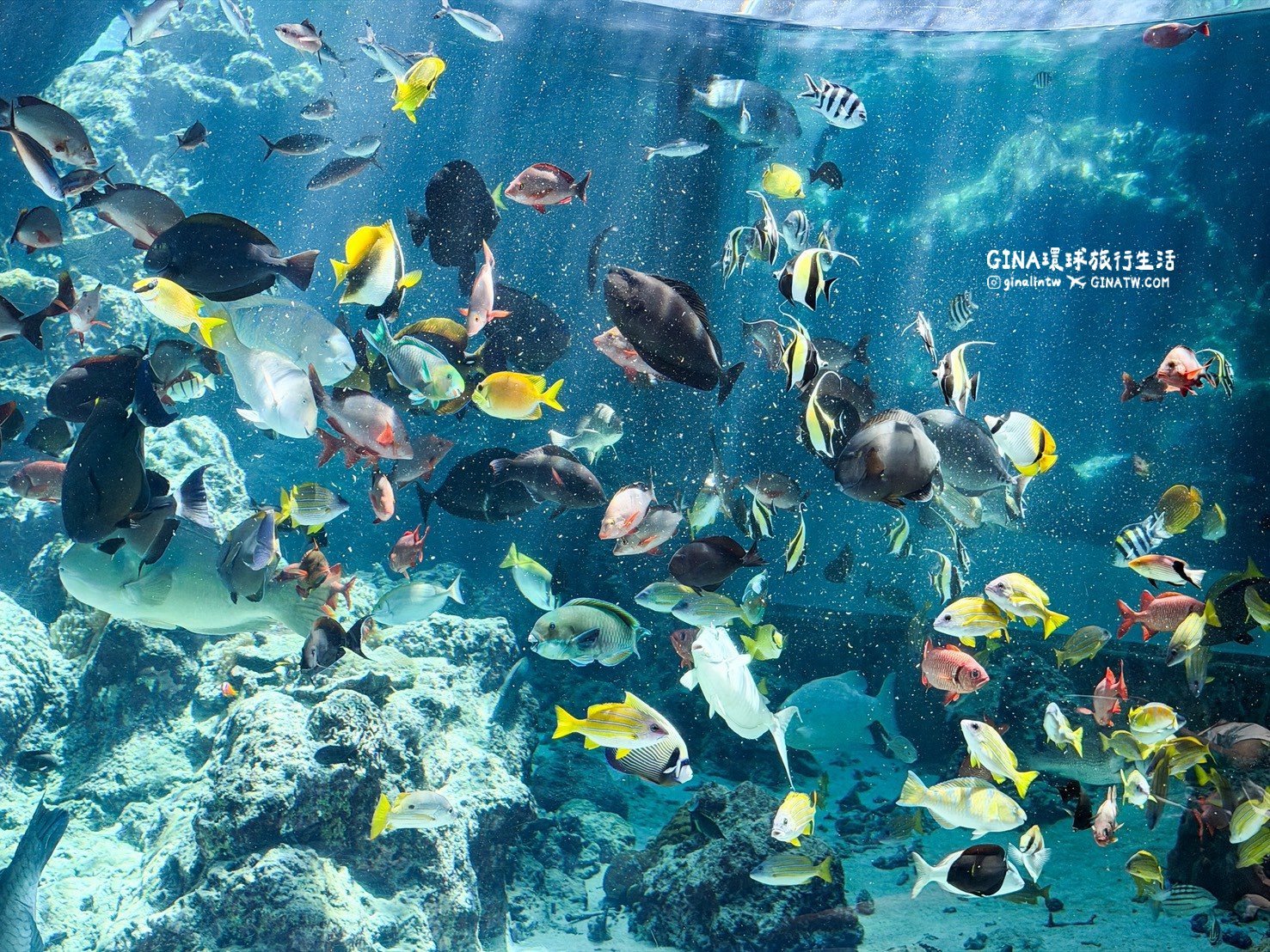 【沖繩Fun Pass攻略2026】沖繩必去美麗海水族館套票優惠、沖繩旅遊必買 Fun Pass觀光巴士接送一日遊 @GINA環球旅行生活 【沖繩Fun Pass攻略2026】沖繩必去美麗海水族館套票優惠、沖繩旅遊必買 Fun Pass觀光巴士接送一日遊 @GINA環球旅行生活