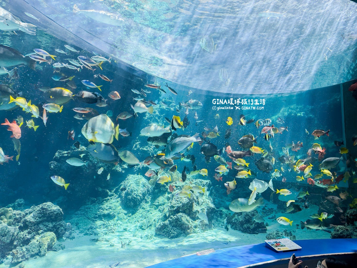 【沖繩Fun Pass攻略2026】沖繩必去美麗海水族館套票優惠、沖繩旅遊必買 Fun Pass觀光巴士接送一日遊 @GINA環球旅行生活 【沖繩Fun Pass攻略2026】沖繩必去美麗海水族館套票優惠、沖繩旅遊必買 Fun Pass觀光巴士接送一日遊 @GINA環球旅行生活
