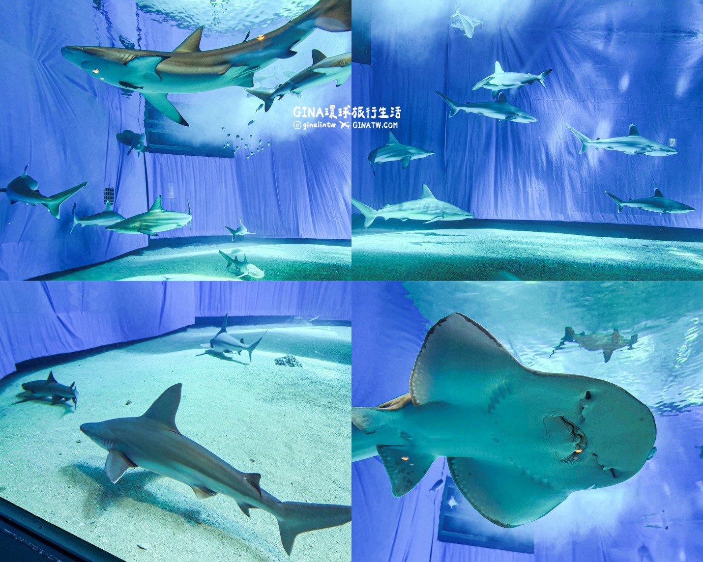 【沖繩Fun Pass攻略2026】沖繩必去美麗海水族館套票優惠、沖繩旅遊必買 Fun Pass觀光巴士接送一日遊 @GINA環球旅行生活 【沖繩Fun Pass攻略2026】沖繩必去美麗海水族館套票優惠、沖繩旅遊必買 Fun Pass觀光巴士接送一日遊 @GINA環球旅行生活