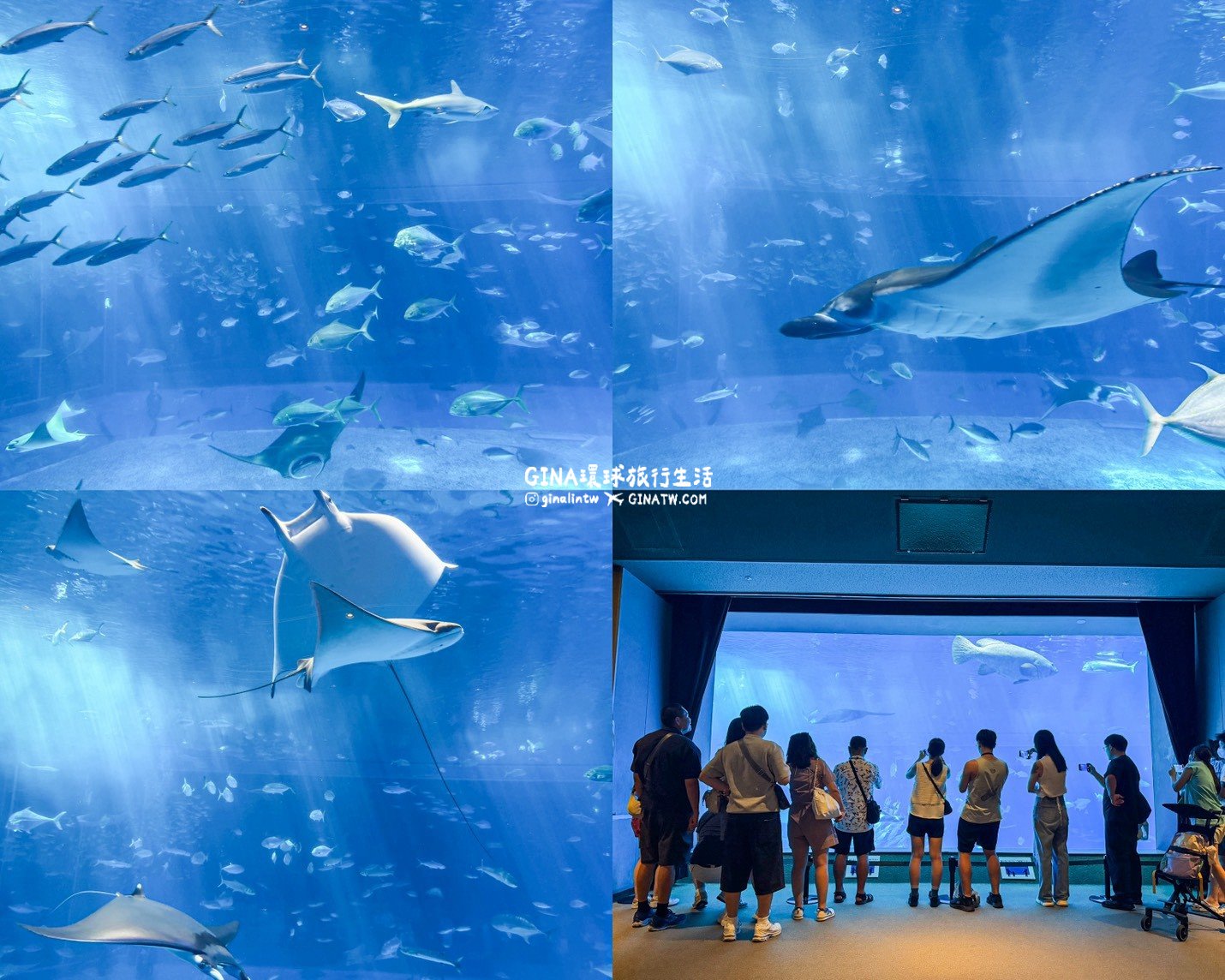 【沖繩Fun Pass攻略2026】沖繩必去美麗海水族館套票優惠、沖繩旅遊必買 Fun Pass觀光巴士接送一日遊 @GINA環球旅行生活 【沖繩Fun Pass攻略2026】沖繩必去美麗海水族館套票優惠、沖繩旅遊必買 Fun Pass觀光巴士接送一日遊 @GINA環球旅行生活