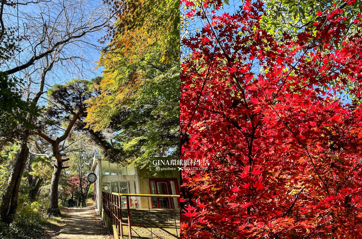 【光州自由行】光州景點 芝山遊園區吊椅(纜車)、單軌列車門票2025 韓國光州賞楓、銀杏 @GINA環球旅行生活 【光州自由行】光州景點 芝山遊園區吊椅(纜車)、單軌列車門票2025 韓國光州賞楓、銀杏 @GINA環球旅行生活