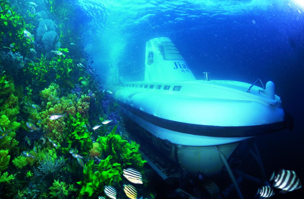 【2023西歸浦景點】濟州島搭潛水艦、 潛水艇｜海底看魚冒險不用全身濕搭搭 @GINA環球旅行生活