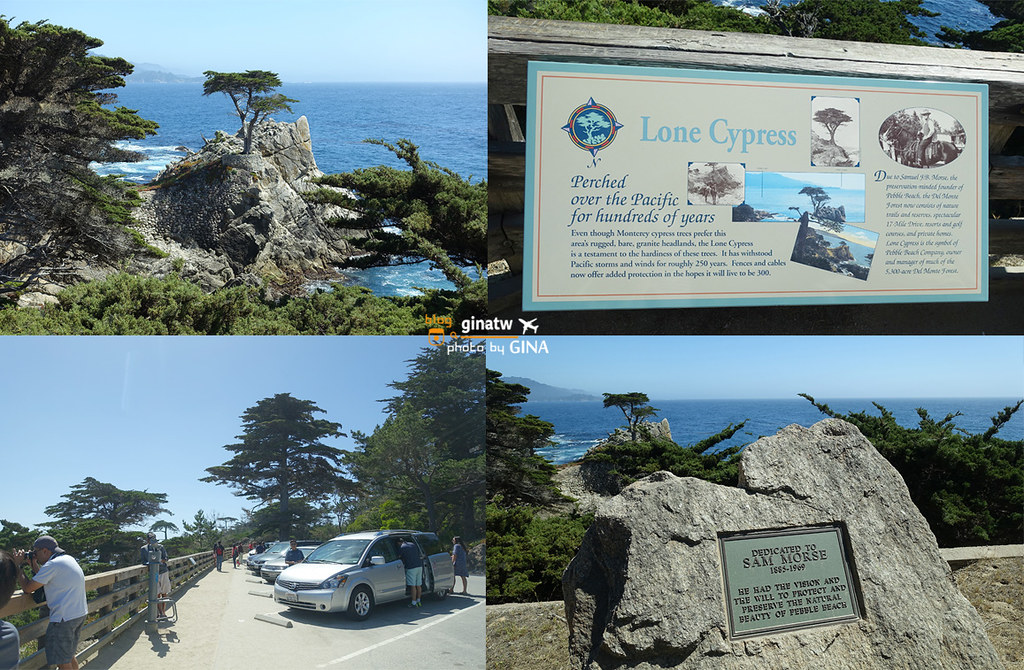 【2021舊金山景點】蒙特利一日遊（Monterey Bay）卡梅爾小鎮（Carmel-by-the-Sea） @GINA環球旅行生活