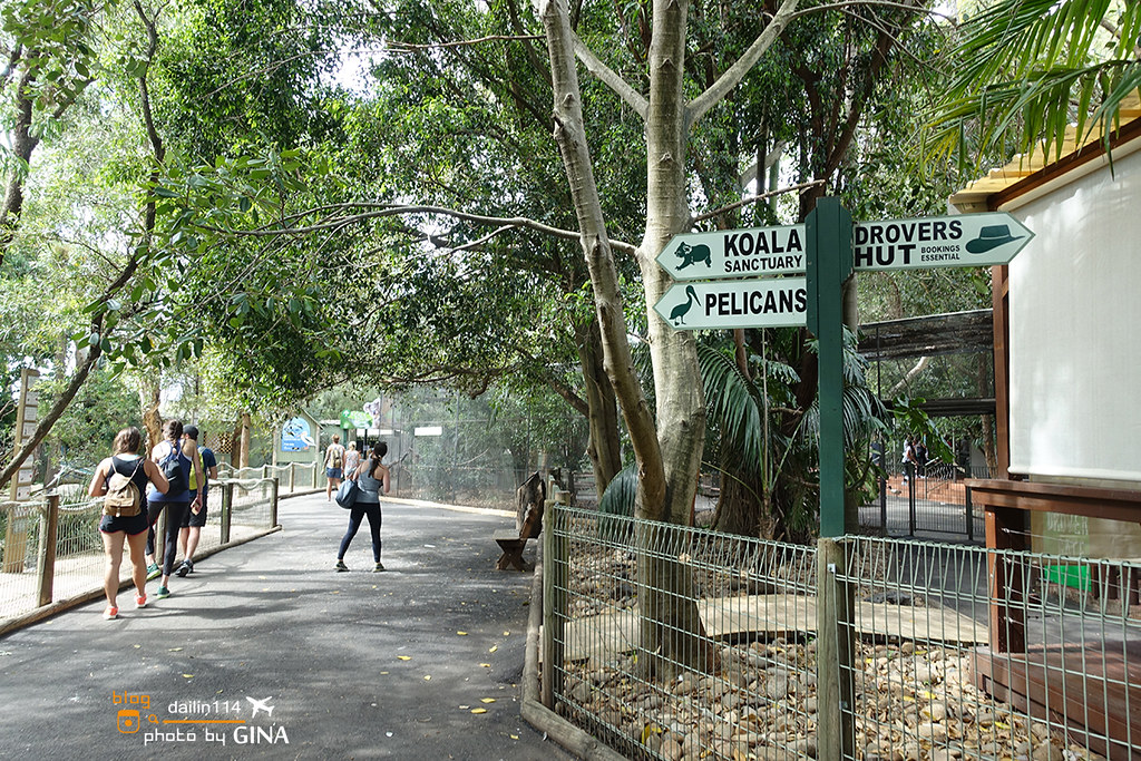 【雪梨景點】2021 Featherdale 野生動物園｜袋鼠、無尾熊一次滿足（免費跟無尾熊拍照哦！）悉尼一日團 @GINA環球旅行生活