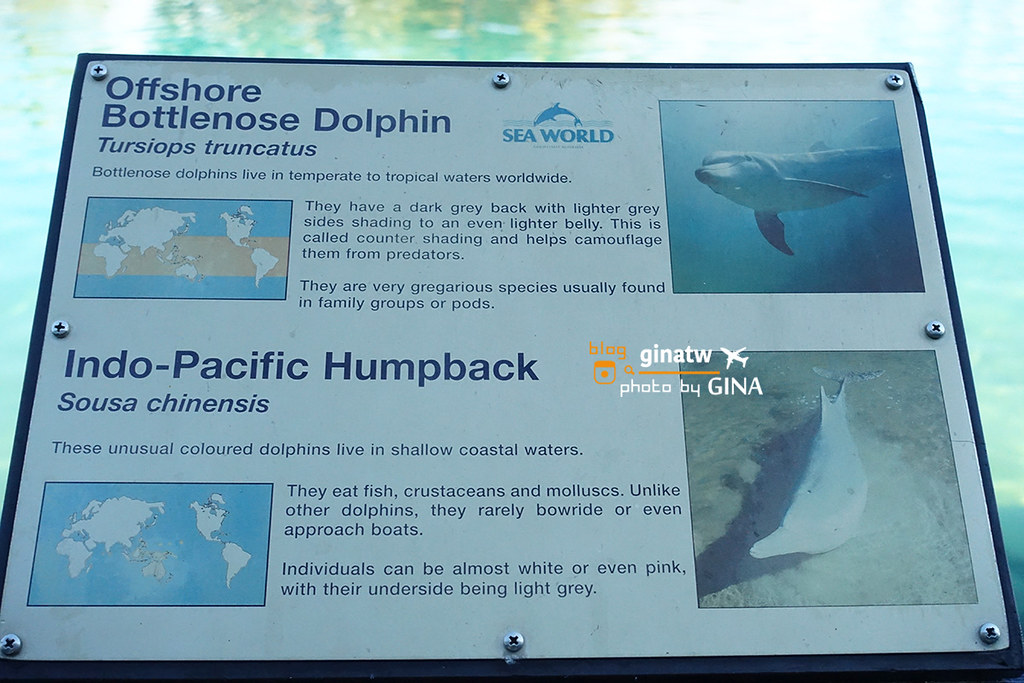 【2023澳洲海洋世界】黃金海岸－海洋世界攻略（Gold Coast Sea World）可愛海豚、海豹、企鵝一次通通看 @GINA環球旅行生活