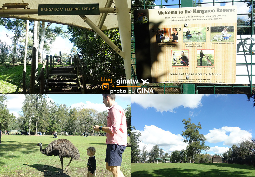 【布里斯本自由行】2021龍柏動物園門票優惠｜抱無尾熊、澳洲袋鼠｜Lone Pine Koala Sanctuary｜澳洲景點、野餐！ @GINA環球旅行生活