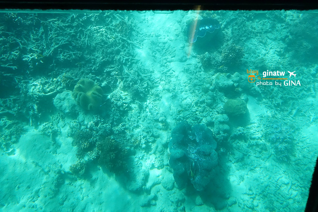 【凱恩斯自由行】2024澳洲大堡礁大冒險號－諾曼外堡礁｜海上Buffet吃到飽、外堡礁游泳看大堡礁、凱恩斯深潛、水上摩托車 @GINA環球旅行生活