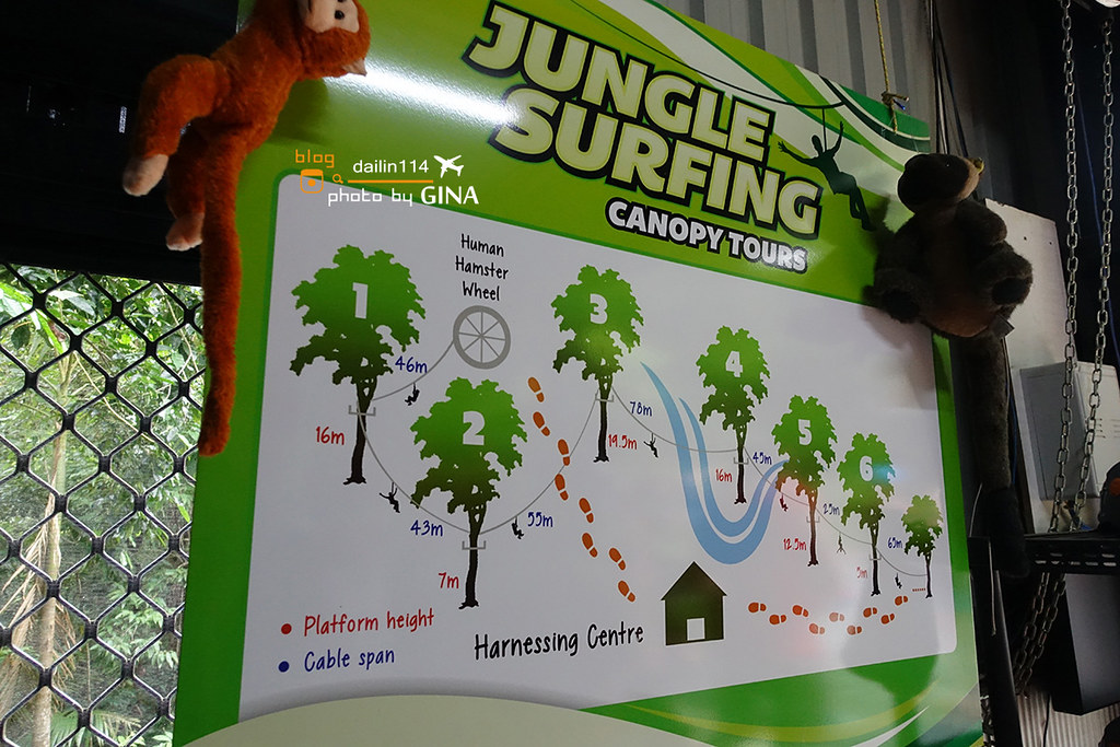 【2023凱恩斯景點】苦難角一日遊（Cape Tribulation）丹樹河遊船（Daintree River Cruise）帥哥教練團的叢林飛天滑索道（Cape Tribulation Jungle Surfing） @GINA環球旅行生活