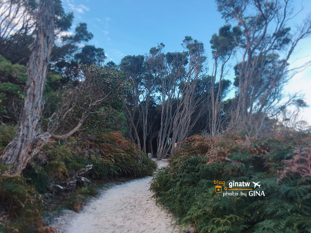 【墨爾本秘境景點】2021威爾遜岬國家公園（Wilsons Promontory National Park）澳洲人帶路｜美麗的河Tidal River + 日落海邊Squeaky Beach @GINA環球旅行生活