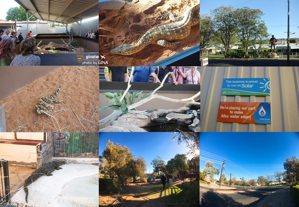 【愛麗斯泉景點】澳洲北領地｜爬行動物中心（Alice Springs Reptile Centre） @GINA環球旅行生活