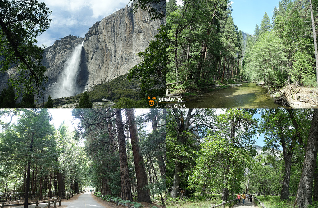 【美國優勝美地國家公園2023】Yosemite National Park 舊金山必去優勝美地國家公園一日遊優惠 @GINA環球旅行生活