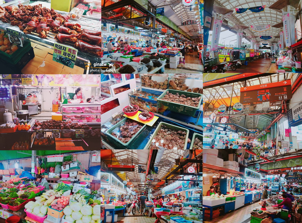 【濟州島必吃美食】東門傳統市場｜韓國大創DAISO（다이소）｜吃吃喝喝、買伴手禮 @GINA環球旅行生活