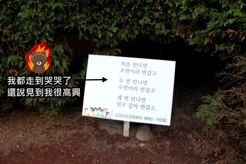 【2024濟州島東部景點】金寧迷路公園玩樂（김녕미로공원）跟我一起迷路小公園 @GINA環球旅行生活