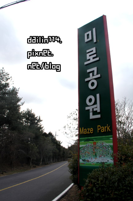【2023濟州島東部景點】金寧迷路公園玩樂（김녕미로공원）跟我一起迷路小公園 @GINA環球旅行生活